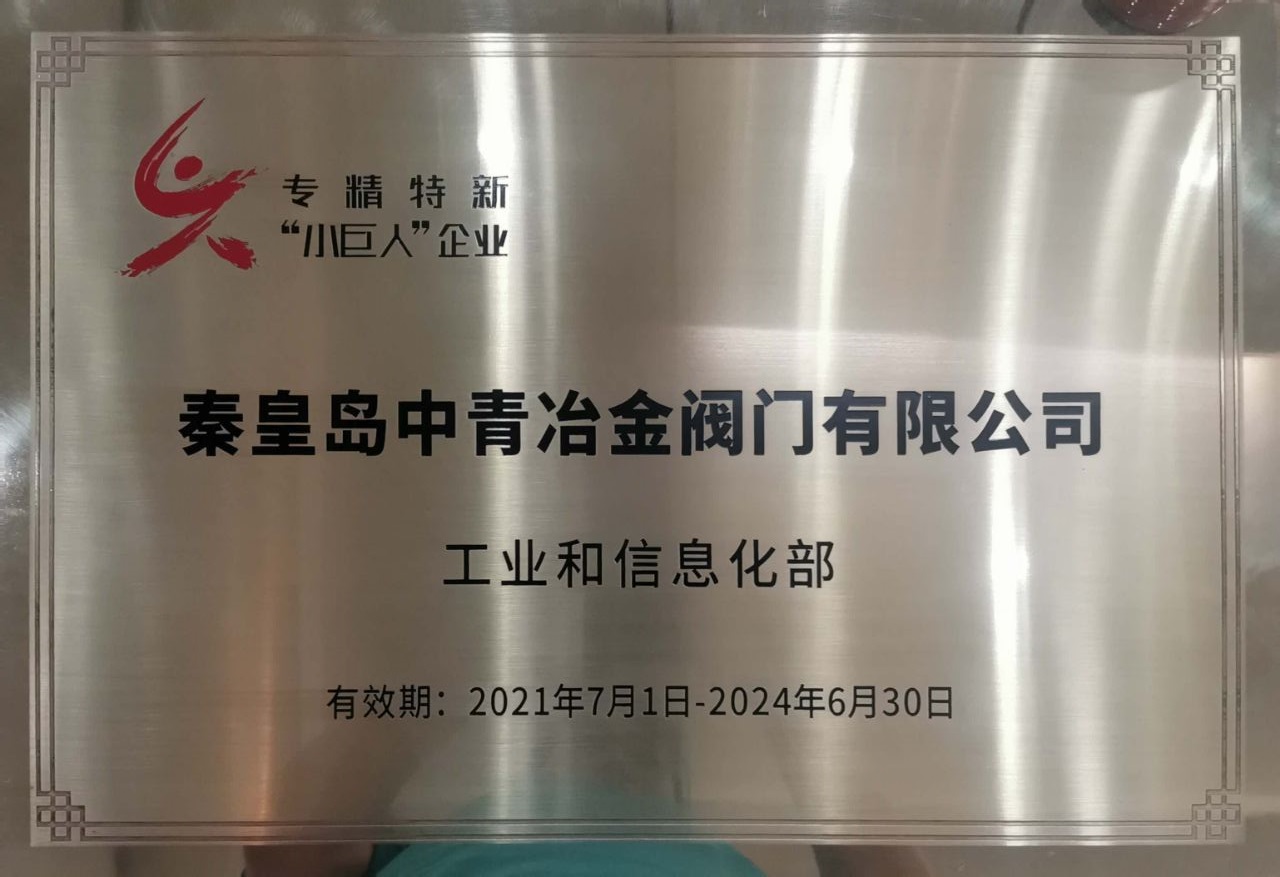 專(zhuān)精特新小巨人